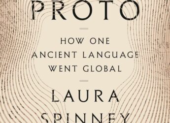 Cover image of Proto